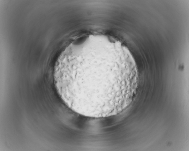 X0000091340178200709071225