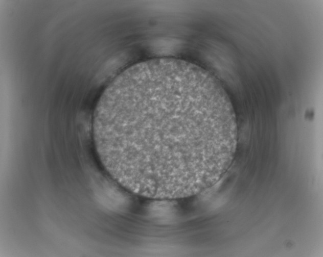 X0000091340179200709071225