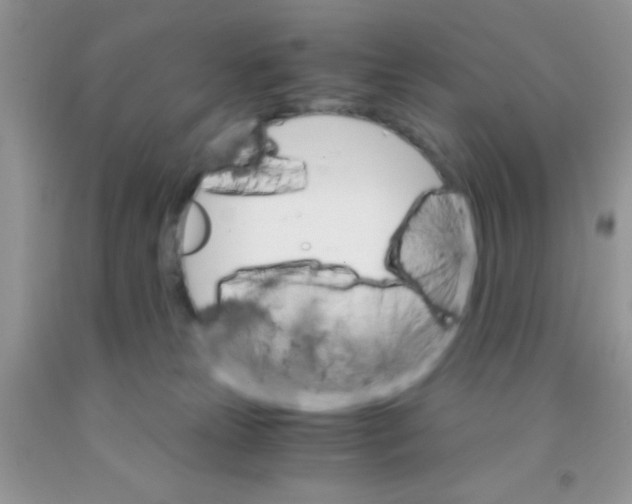 X0000091340181200709071225