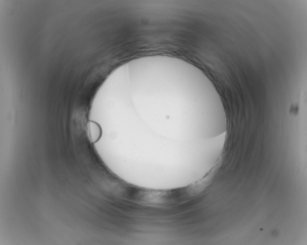 X0000091340182200709071225