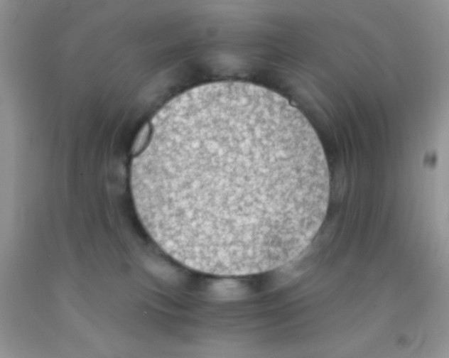 X0000091340183200709071225