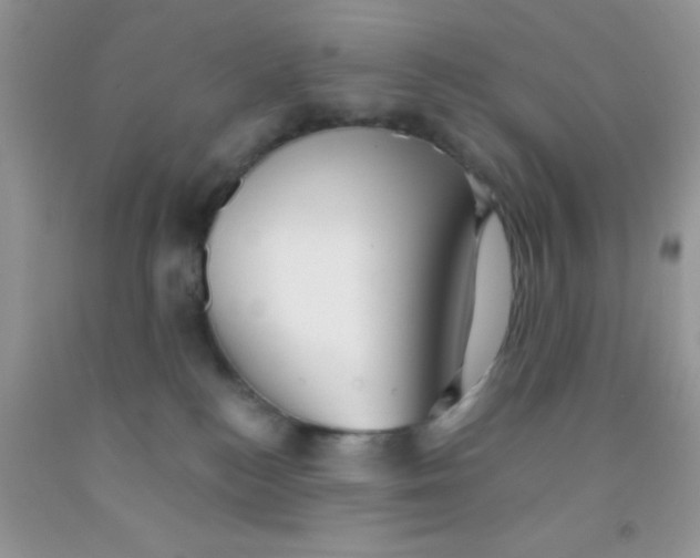 X0000091340184200709071225