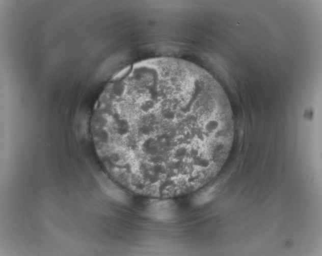 X0000091340185200709071225