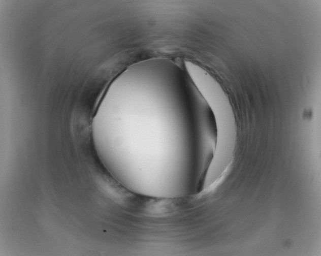 X0000091340186200709071225