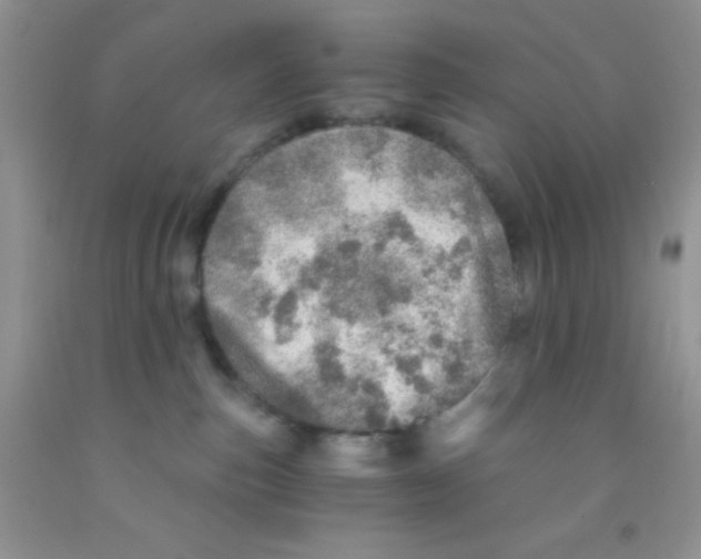 X0000091340187200709071225