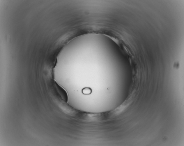 X0000091340188200709071225