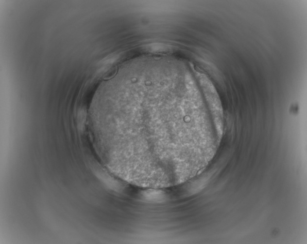 X0000091340189200709071225