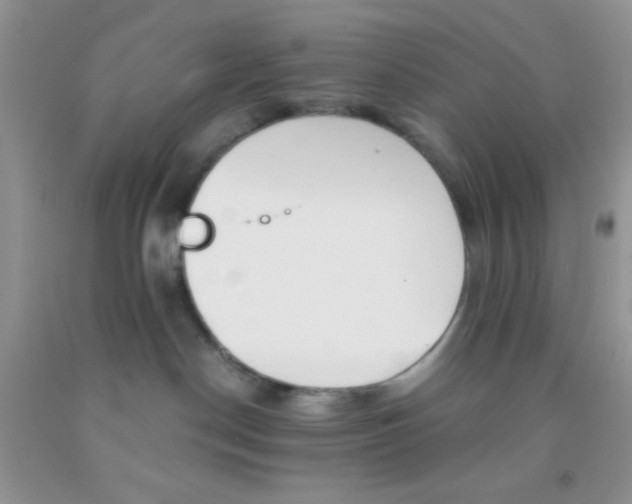 X0000091340190200709071225