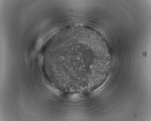 X0000091340191200709071225