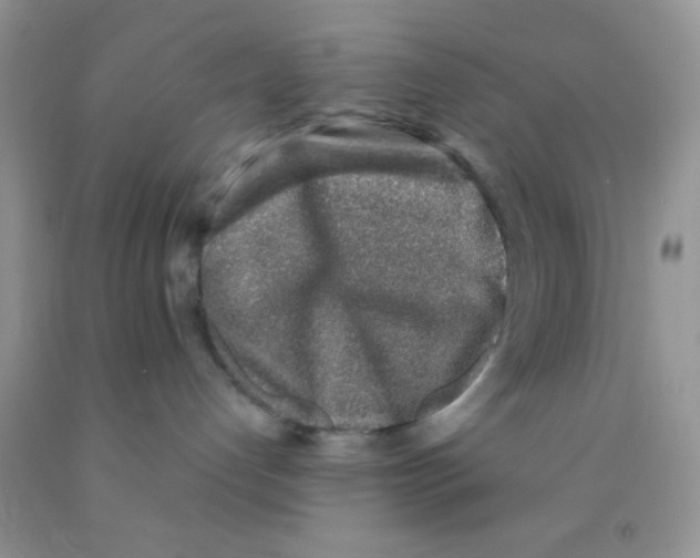 X0000091340192200709071225