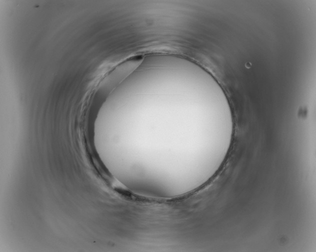 X0000091340193200709071225