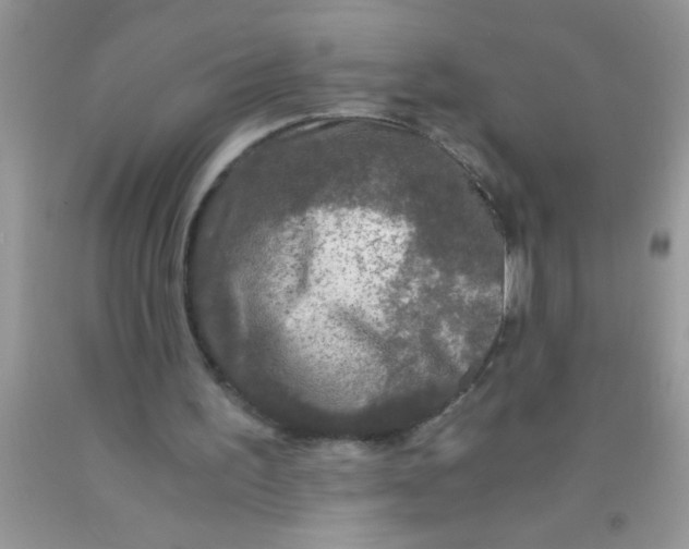 X0000091340195200709071225