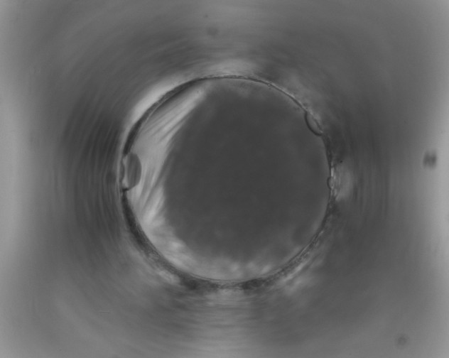 X0000091340196200709071225