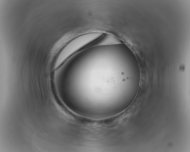 X0000091340197200709071225