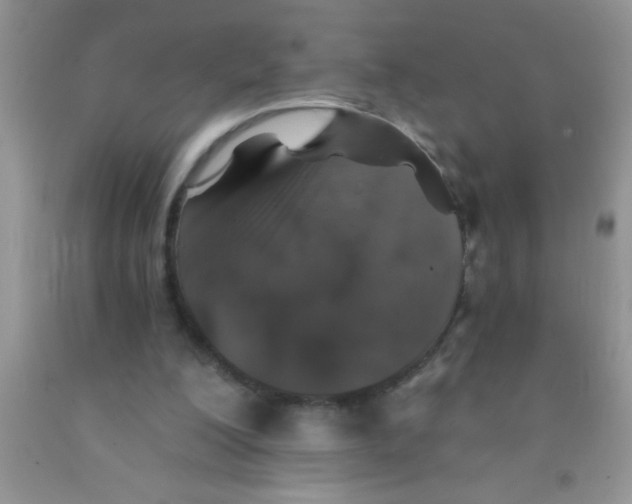 X0000091340200200709071225