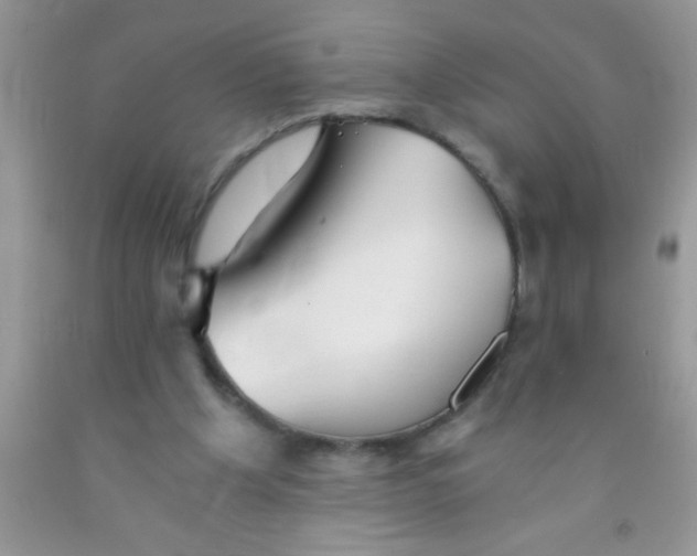 X0000091340201200709071225