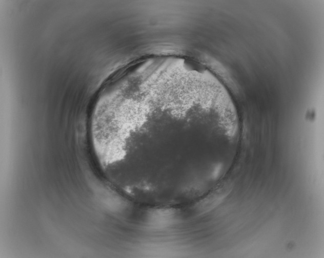 X0000091340202200709071225