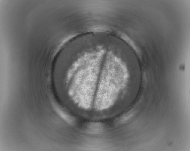 X0000091340203200709071225