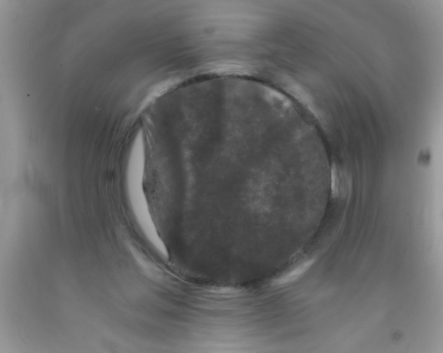 X0000091340205200709071225