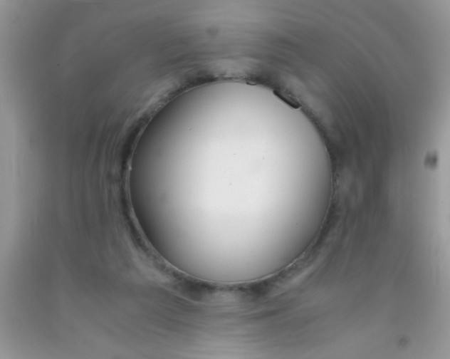 X0000091340209200709071225