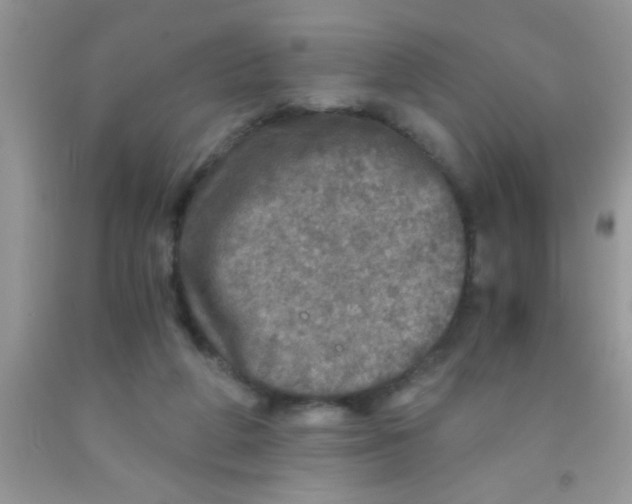 X0000091340210200709071224