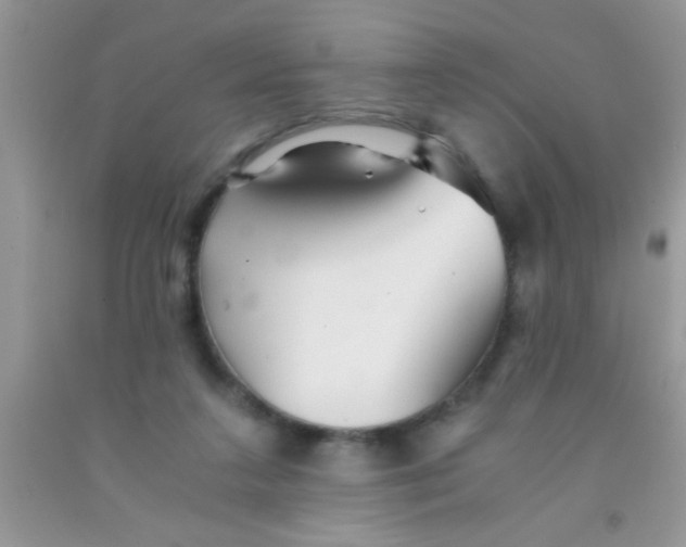 X0000091340211200709071224