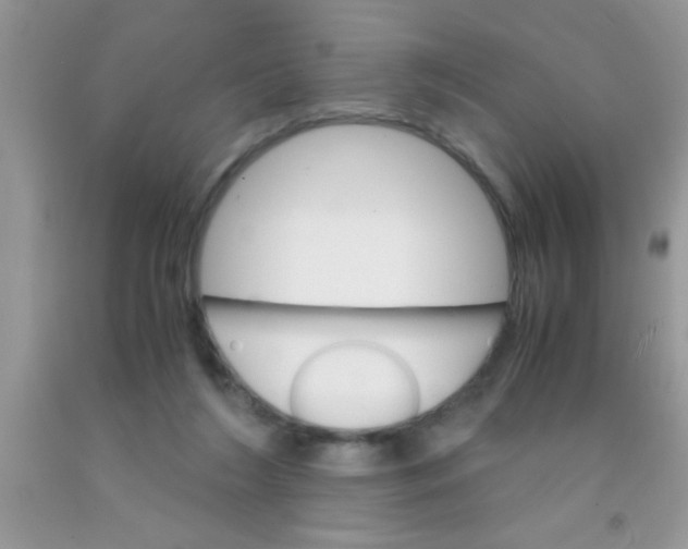 X0000091340212200709071224