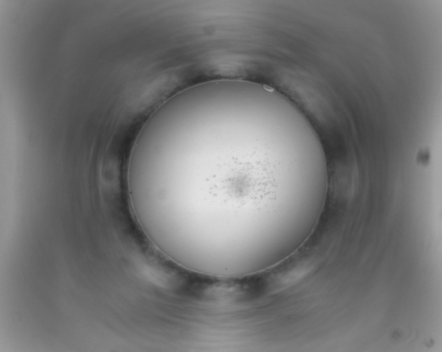 X0000091340213200709071224