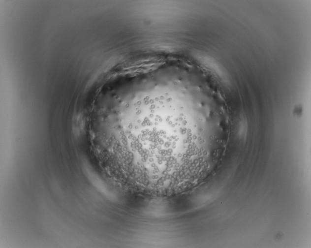 X0000091340214200709071224