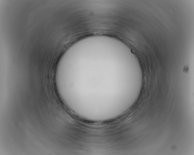 X0000091340219200709071224