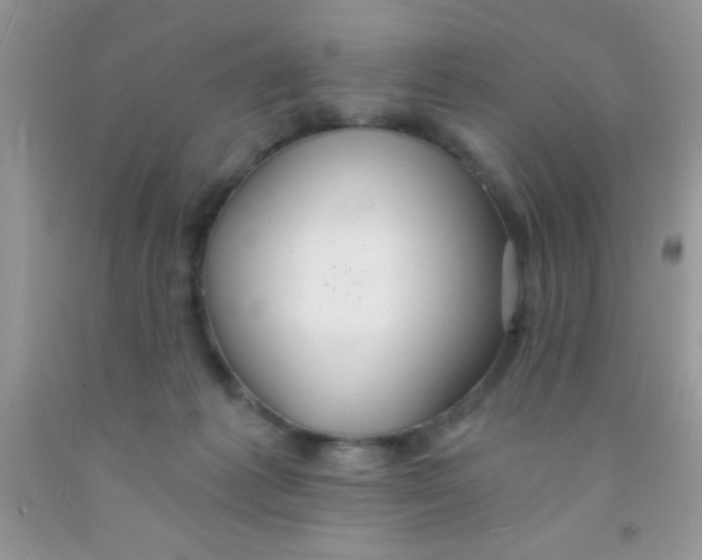 X0000091340221200709071224