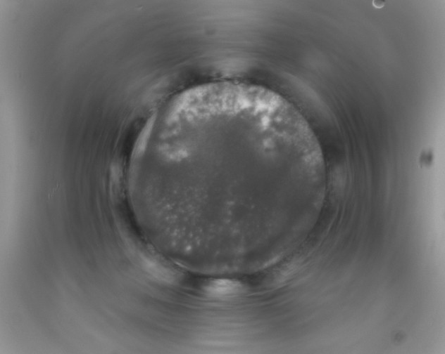 X0000091340222200709071224