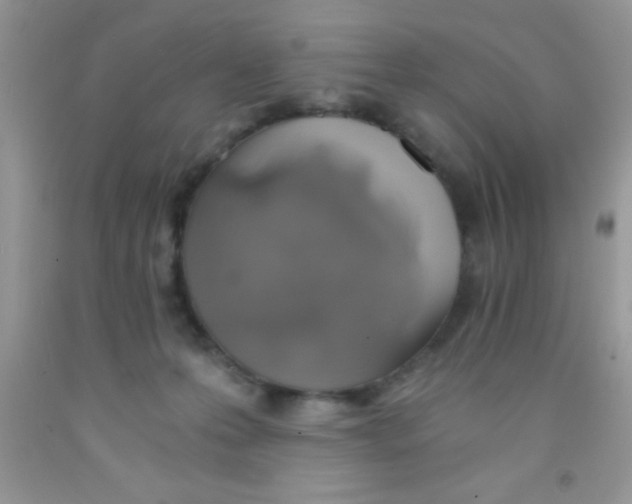 X0000091340223200709071224