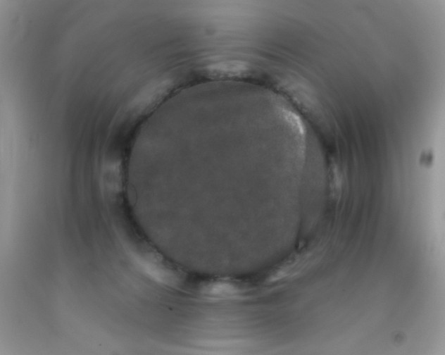 X0000091340224200709071224