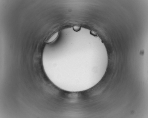 X0000091340225200709071224