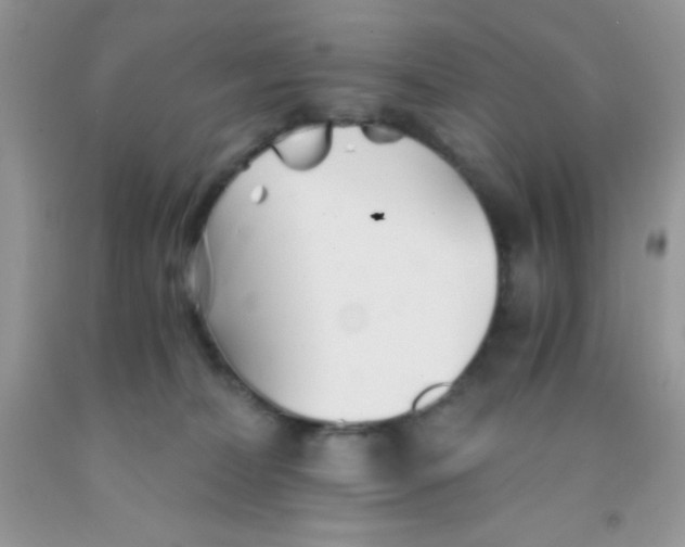 X0000091340228200709071224