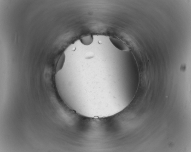 X0000091340229200709071224