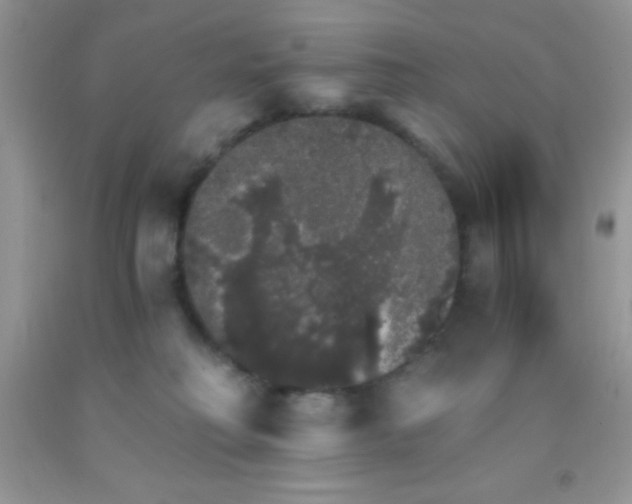 X0000091340230200709071224