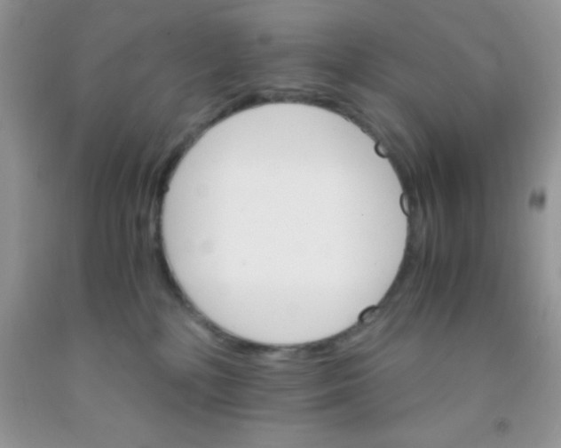 X0000091340232200709071224