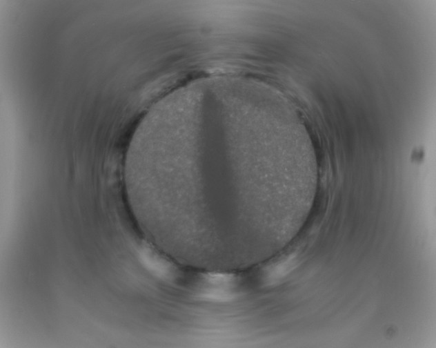 X0000091340233200709071224