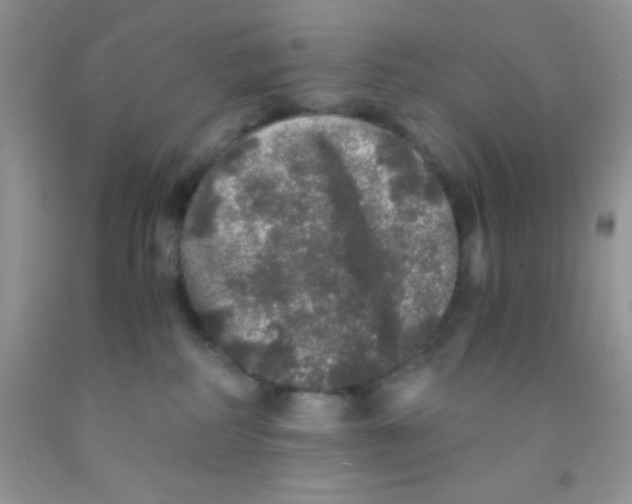 X0000091340234200709071224