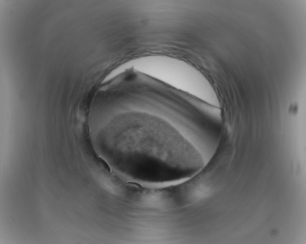 X0000091340235200709071224