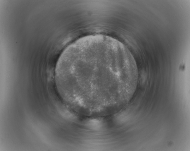 X0000091340236200709071224