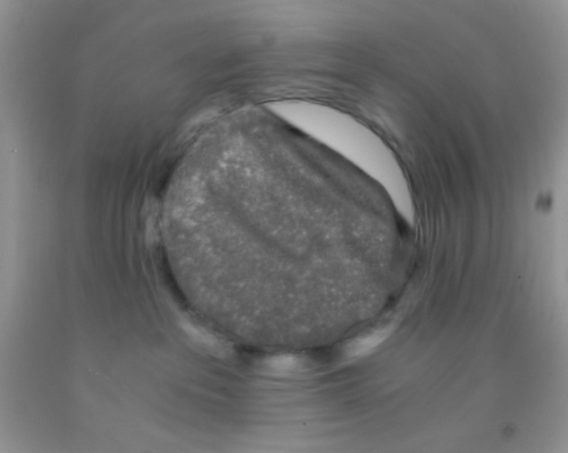 X0000091340237200709071224