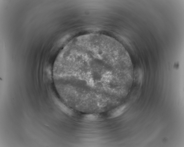 X0000091340238200709071224