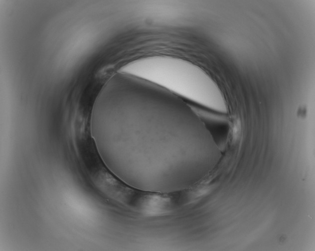 X0000091340239200709071224