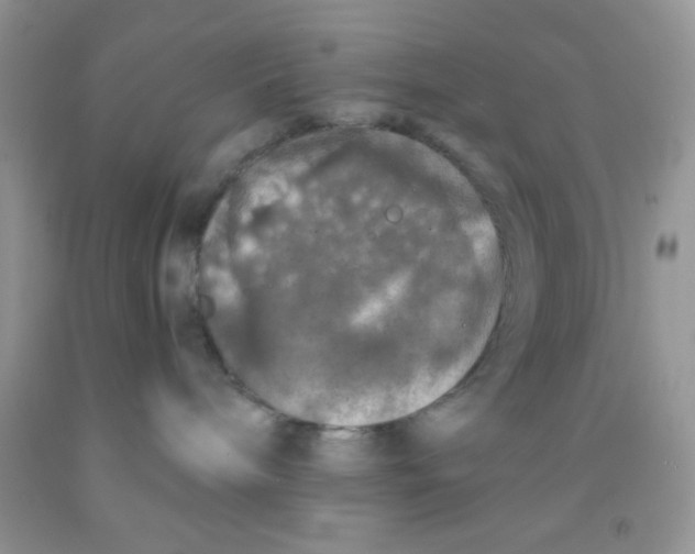 X0000091340240200709071224