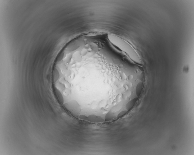 X0000091340241200709071224