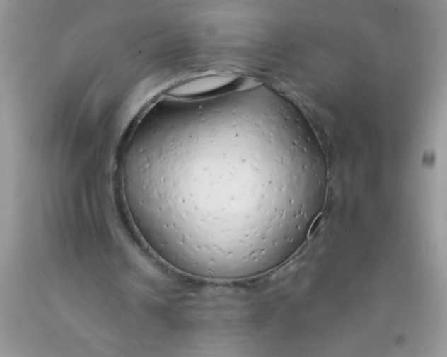 X0000091340242200709071224