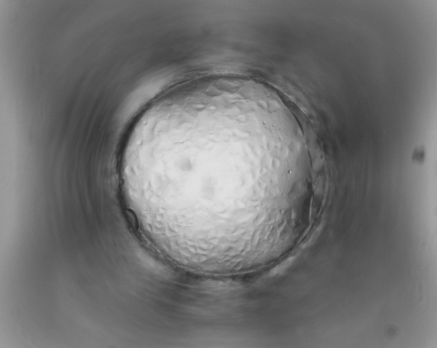 X0000091340245200709071224